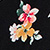 Black & Red Floral