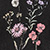 Black Floral