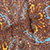 Brown & Blue Paisley