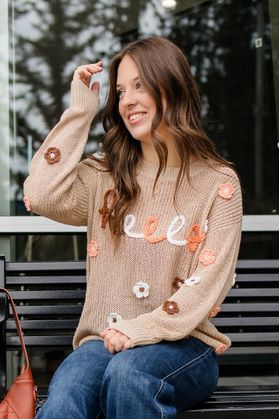 Hello Fall Sweater 2