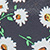 Navy Daisy