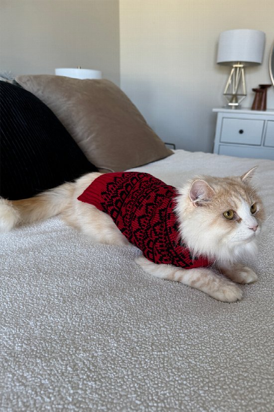 Pet Jolly Sweater