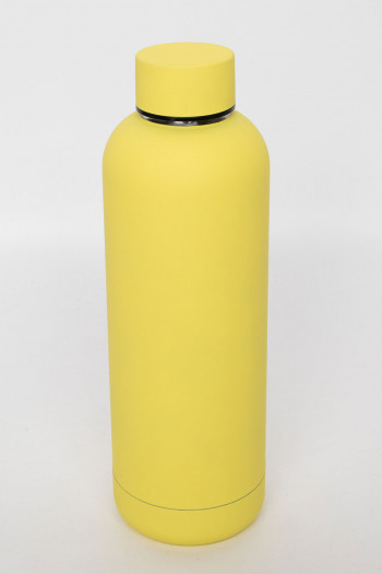 SImplicity Stainless Steel Water Bottle