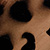 Taupe Leopard